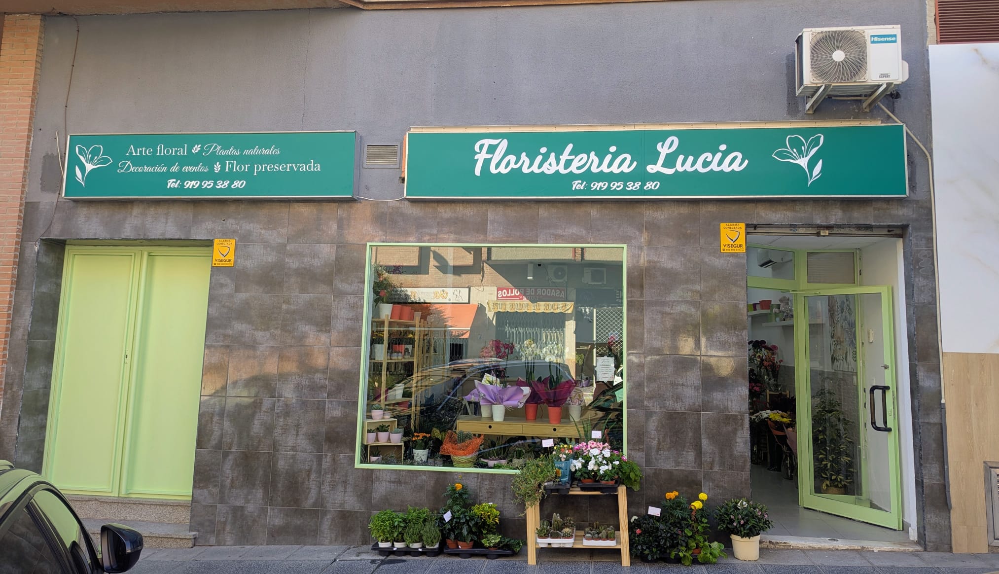 Interior de la floristería con cubos de flor fresca